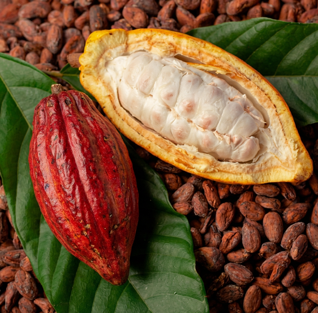Cacao